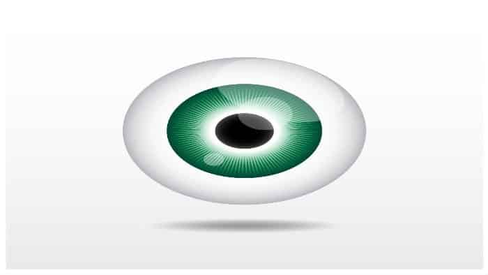 Visualizações Visualizações