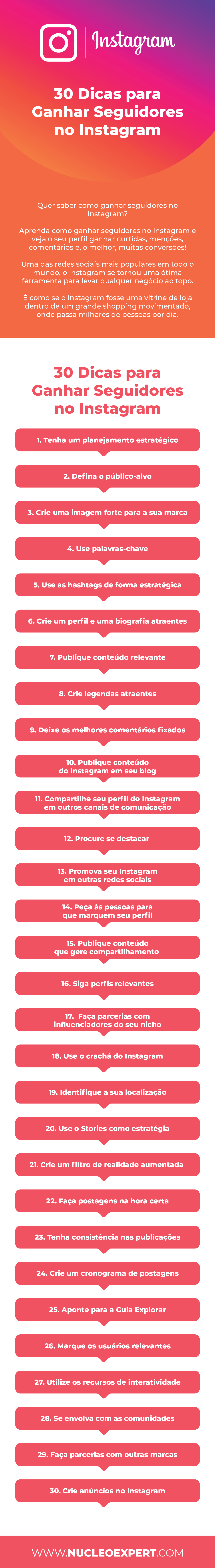 Infografico - Como ganhar seguidores no Instagram