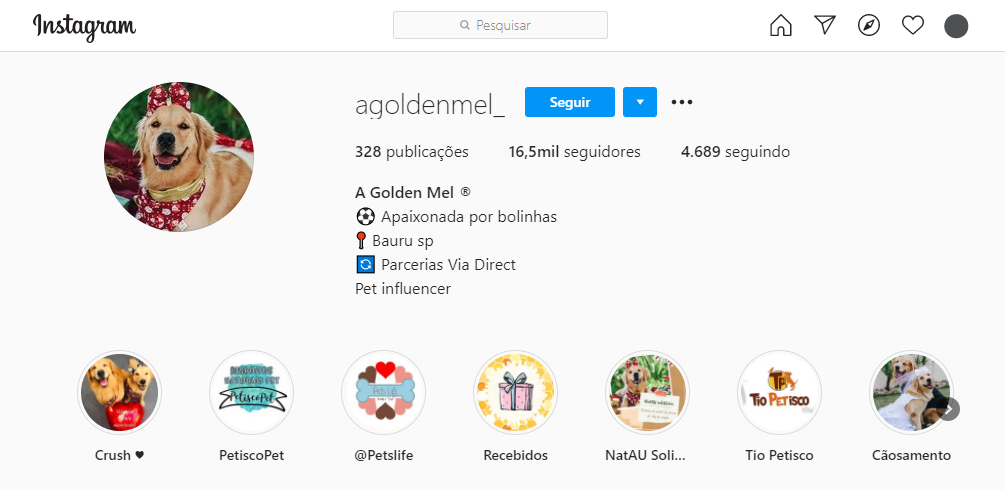 Biografia para Instagram de pets